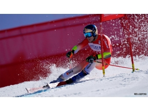 【白銀の頂へ!】アルペンスキーFIS W杯25/26【男子回転】グルグル