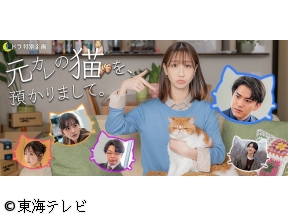 土ドラ特別企画・元カレの猫を、預かりまして。 ＃０２【しゃべる猫が人生指南】