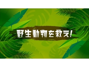 野生動物を救え！　第133回