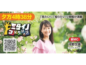 ミタイノコレクション