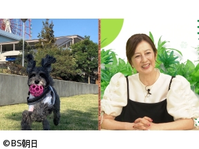 ネコいぬワイドショー　【ゲスト】森尾由美