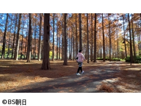 バナナマン日村が歩く!ウォーキングのひむ太郎　「都立 水元公園〜金町駅編」