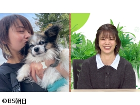 ネコいぬワイドショー　「すべてのネコ・いぬが幸せ」となる情報をお届け!