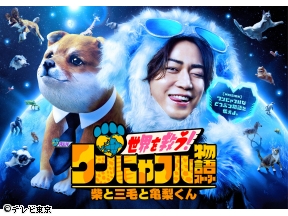 日曜アワー「激かわ!ワンにゃフル物語」