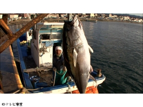 巨大マグロ戦争 追悼編★衝撃映像！お化けマグロvs時代を創ったレジェンド漁師SP