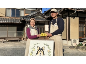 人生の楽園 瀬戸内 レモン農家のカフェ 〜広島・大崎上島町