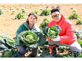満天☆青空レストラン 希少サボイキャベツに友近絶賛！ソースが絡み料理に合う!
