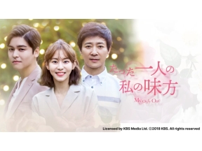 ドラマ11　たった一人の私の味方(第26話)