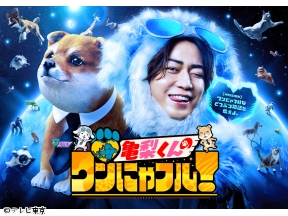 激かわ!ワンにゃフル★亀梨&小峠&いとうあさこ群馬動物旅SP★シャーシャー保護猫
