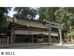 ごりやくさん　第5回「鹿島神宮」(茨城)