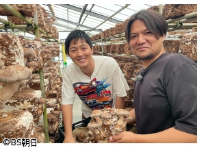 工藤阿須加が行く 農業始めちゃいました　▽絶品シイタケ!伝統農園の挑戦