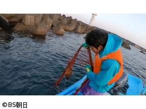 魚が食べたい!　「三重のイセエビと寒ビラメ!若手漁師が狙う!」