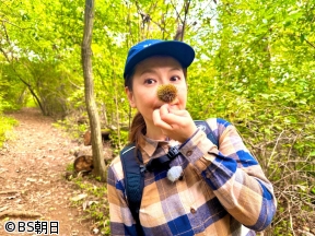 そこに山があるから　▽南野陽子が焼森山・鶏足山へ