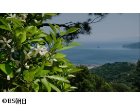 子供たちに残したい　美しい日本のうた　＃140