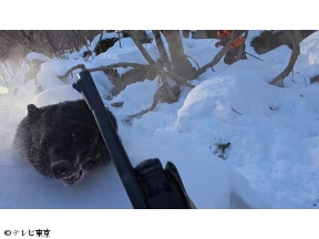 危険生物バスターズ13 危険クマ猟に独占密着&この秋ヤバい猛毒スズメバチ(秘)駆除