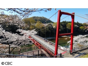 太田×石井のデララバ【愛知岐阜三重 桜の名所】