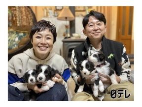 嗚呼!!みんなの動物園４時間ＳＰ▽池崎×保護猫ついに最終回！有吉×赤ちゃん犬