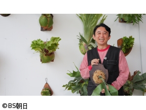 夢が咲く 有吉園芸　「日本おもと名品展 50万円の万年青(おもと)の結果は!?」