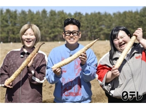 満天☆青空レストラン 幻の山の芋「もちとろろ」青森：驚異の粘りとコクに絶叫!