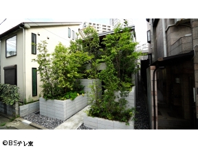となりのスゴイ家　「【建坪6.5坪】開放感を生む広見せテク▽天井高4.7mLDK」