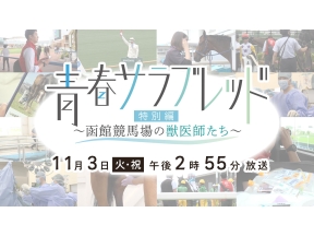 青春サラブレッド特別編▼函館競馬場の舞台裏！馬に寄り添う獣医師の現場の奮闘と想い