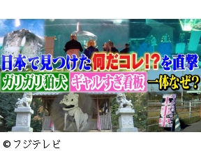 世界の何だコレ!?ミステリー▼日本のフシギ解明&明智光秀の幻の城出現