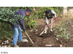 黒谷友香、お庭つくります　アンコール　簡単!暗渠工事で小道を救え