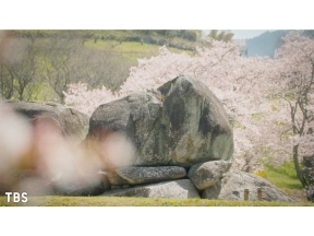 世界遺産/奈良「飛鳥・藤原の宮都」〜登録されたばかりの世界遺産