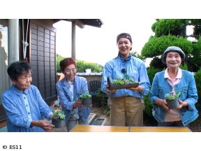 黒谷友香、お庭つくります　グラスガーデンに挑戦!&「淡路瓦」で多肉植物の寄せ植え