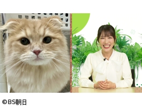 ネコいぬワイドショー　【ゲスト】高城れに(ももいろクローバーZ)