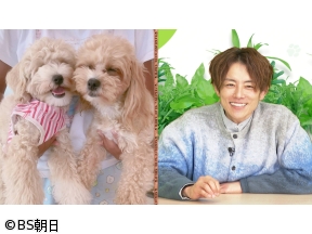 ネコいぬワイドショー　【ゲスト】杉浦太陽