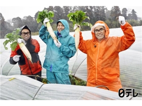 満天☆青空レストラン「姉崎大根」みずみずしく、衝撃の甘さ!千葉県市原市で発見