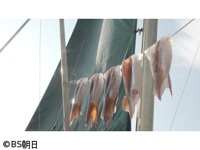 魚が食べたい!　「いか様丼にいか様餃子!?西伊豆の漁に密着!」