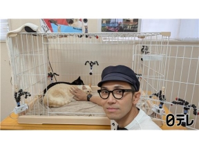 嗚呼!!みんなの動物園青木マッチョ巡り激カワ猫バトル＆やんちゃ兄妹猫最終回