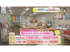 イマナマ!　「街ネタ!知りたガール」