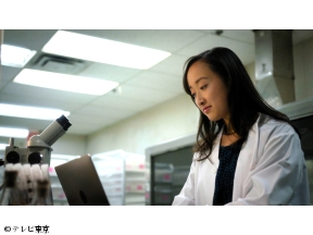 (秘)衝撃ファイル【超危険交通トラブル&名門大学の医学院生惨殺事件SP】