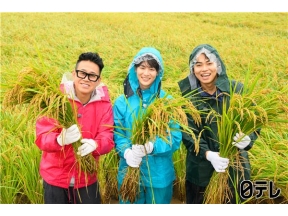満天☆青空レストラン 新米はるみ！神奈川平塚の極上米＆絶品ご飯のお供