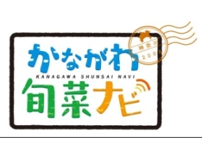 かながわ旬菜ナビ▽三浦半島から初夏の味覚をお届け!