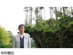 あなたの知らない京都旅　「国宝と初夏の絶景〜京の奥座敷 三尾〜」
