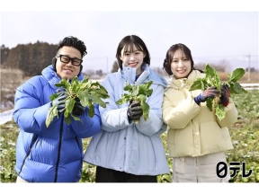 満天☆青空レストラン 「レジェンドほうれん草」サトウキビ並みの甘さに悶絶!