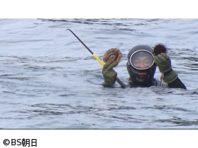 魚が食べたい!　「四国の最西端で鏡のようなタチウオと幻のアカウニに興奮!」