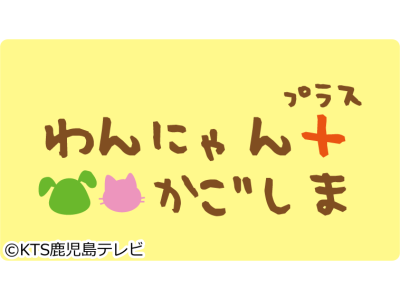 わんにゃん+ かごしま