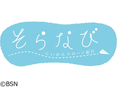 そらなび にいがたドローン紀行