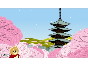 京都知新【腸もみ女将 松坂信子◆升毅 ナレーション】