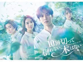 １０回切って倒れない木はない＃０２「すり替わった記憶」