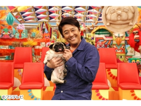 坂上どうぶつ王国　大反響!外飼い猫にカメラ装着…飼い主が知らない裏の顔判明SP