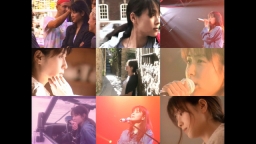 ZARD LIVE & MUSIC VIDEO HISTORY