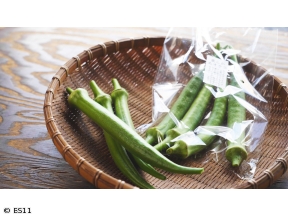 柏原光太郎の食紀行　栃木県宇都宮市 旬を迎えた獲れたて野菜のコース