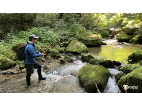 THEフィッシング 夏の離島・渓流旅 佐渡島ネイティブトラウト