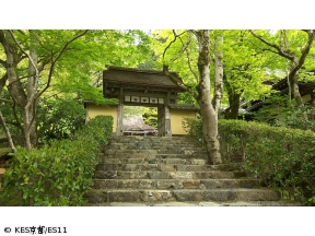 京都浪漫　悠久の物語【大原女の小径を歩く癒やしの旅〜寂光院から三千院へ〜】
